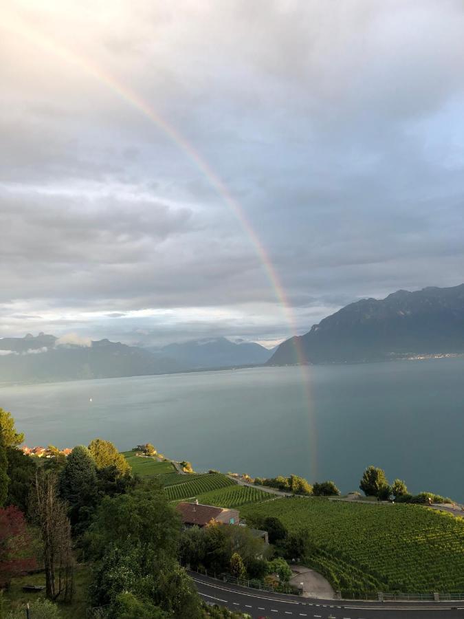 Room With 360° View Overlooking Lake Geneva And Alps Puidoux Exterior photo
