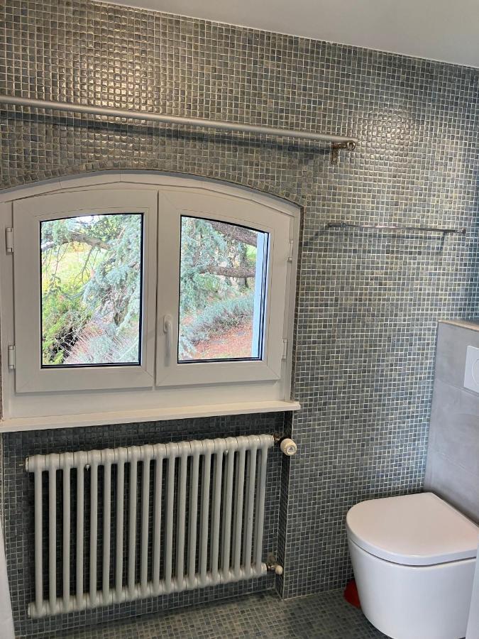 Room With 360° View Overlooking Lake Geneva And Alps Puidoux Exterior photo